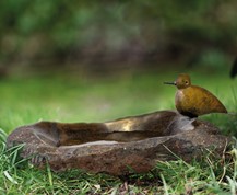 Vogeltraenke, Stein aus Simbabwe