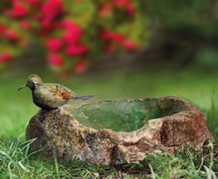 Vogeltraenke, Stein aus Simbabwe